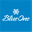 wp.blueone.com