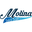 molinaseasalt.com