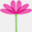 floresonline.com.bo
