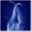 insectoid.de
