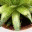 lafarmanatural.wordpress.com