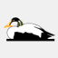 icelandeider.is