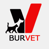 burvet.com