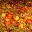 charitywindfall.wordpress.com