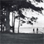 l-arbre-asso.over-blog.com