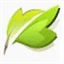 thuocxachtay.com