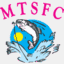 mtsfc.org