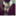 blurbell.wordpress.com