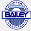 baileyengineering.com
