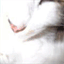 nuxe.over-blog.com