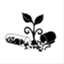 seedpillproject.wordpress.com