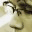 benjaminvanvliet.wordpress.com