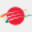 shinkoadvisors.com