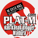 plat-m.com