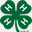 nys4hfoundation.org