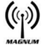 blog.magnumelectronics.com