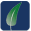 ivdhost.com