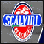scalviniracing.com.au