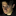 kyleolszewski.com