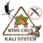 wingchunkalisystem.wordpress.com