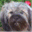 wilmas-wunder.de