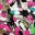glitterbrained.wordpress.com