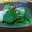 forest2table.com