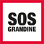 sosgrandine.com