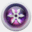 getscreenninja.com