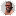 forumdna.org