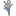 sasonow.org