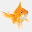 emmonstropicalfish.com