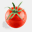 pomidory-kazmierczak.pl