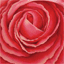 garycraigart.com