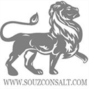 souzconsalt.com