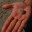 lucaplays.wordpress.com