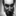 marceloamazonas.com