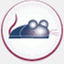 graphicstoweb.com