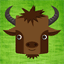bisonvoyageur.com