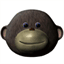 darkmonkeyproductions.com