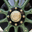 ecarriage.com