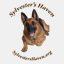 sylvestershaven.org