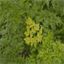 chouikha.over-blog.com