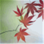 renfrownursery.com