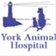 yorkanimal.wordpress.com
