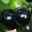 oopoog.wordpress.com