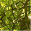 kingdombranches.com