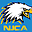 njcaeagles.com