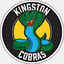 kingstoncobras.com