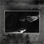 disciplesofwren.bandcamp.com